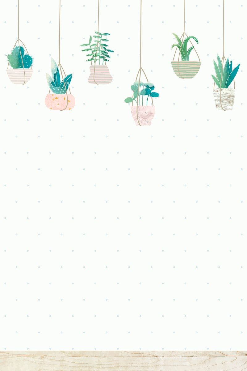 cute cactus wallpapers 0064