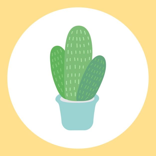 cute cactus wallpapers 0070