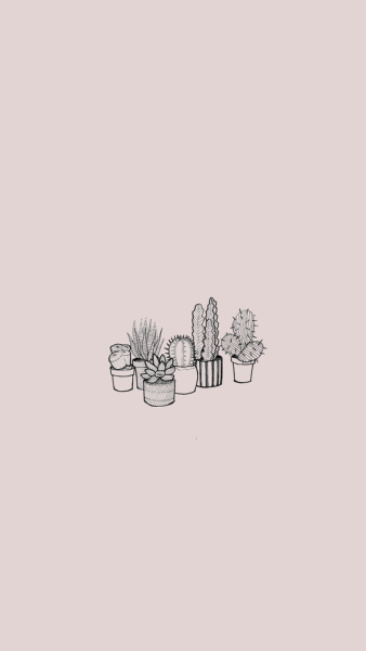 cute cactus wallpapers 0072