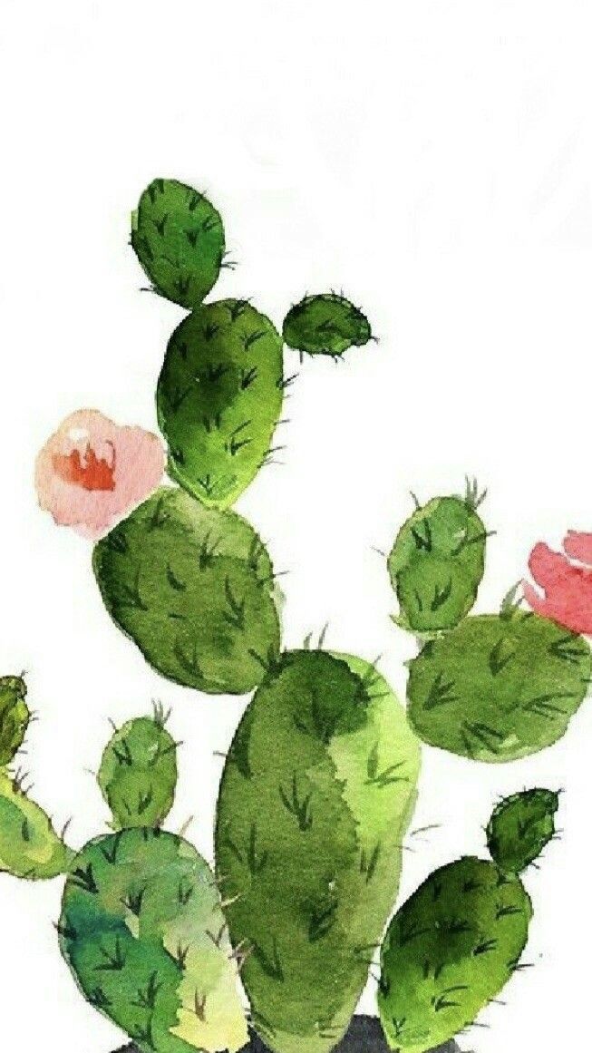 cute cactus wallpapers 0074