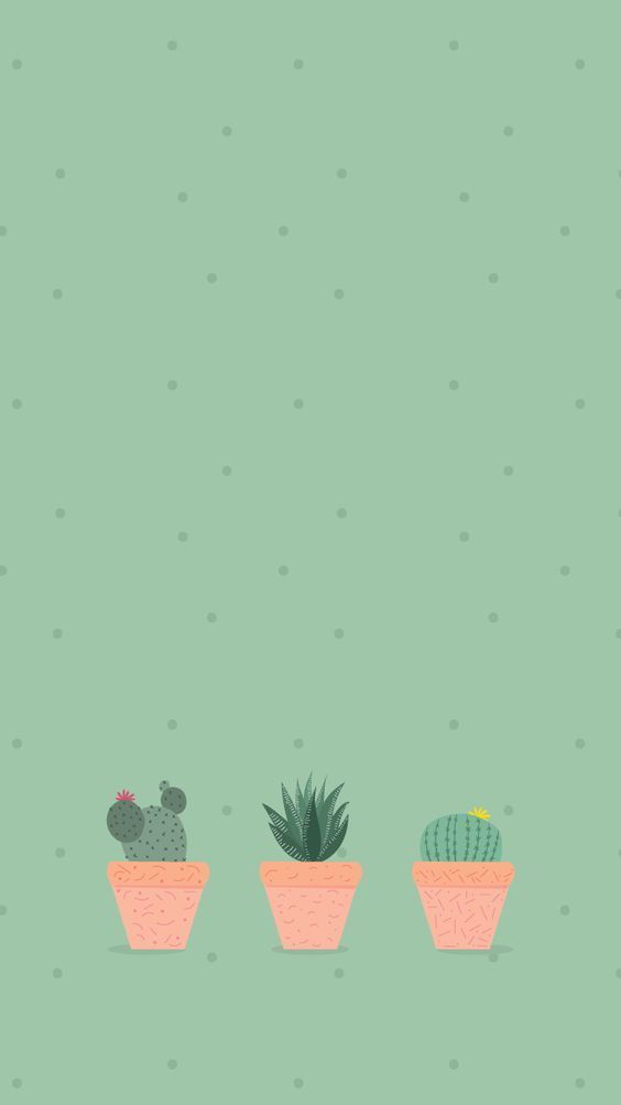 cute cactus wallpapers 0077