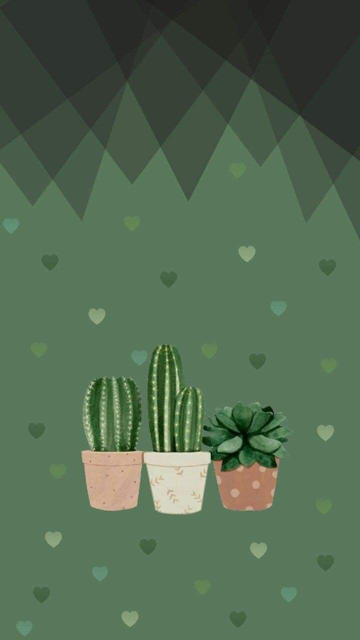 cute cactus wallpapers 0081