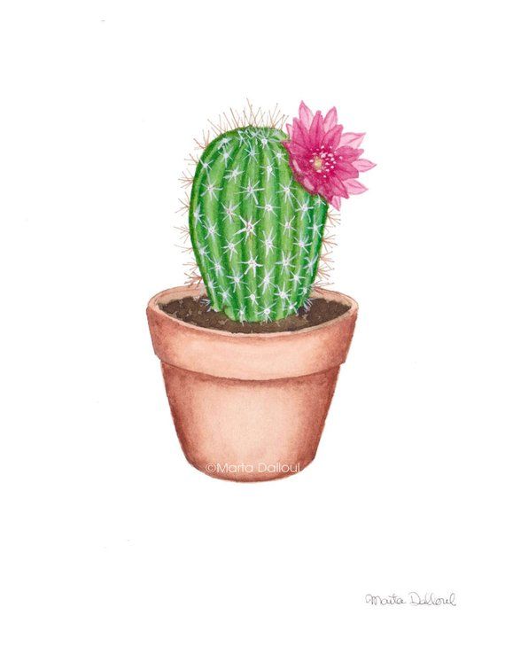 cute cactus wallpapers 0093