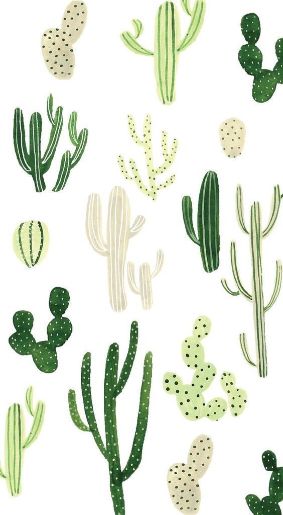 cute cactus wallpapers 0096