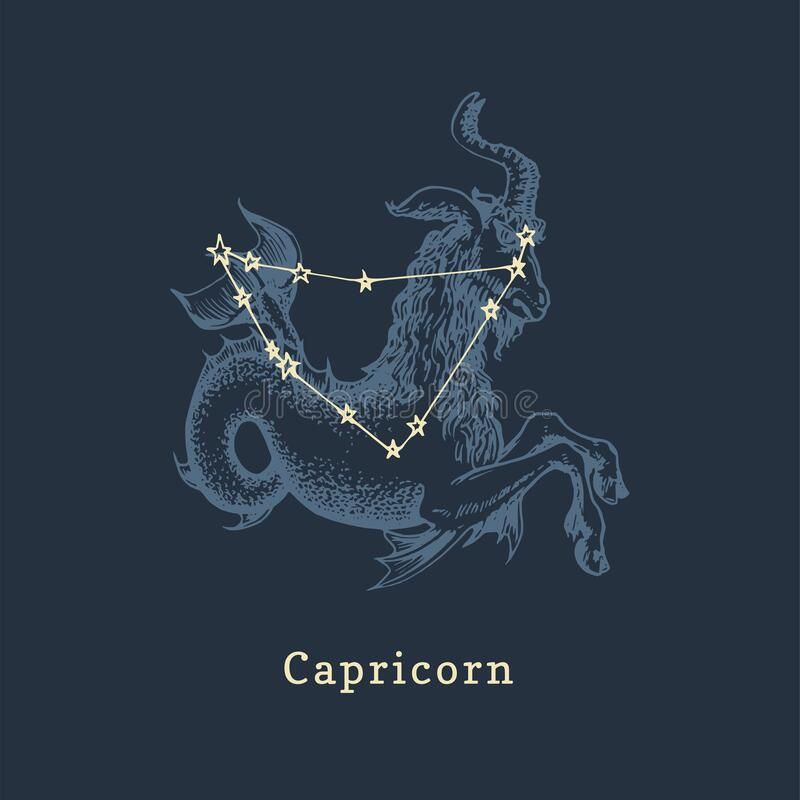 cute Capricorn wallpapers 0099