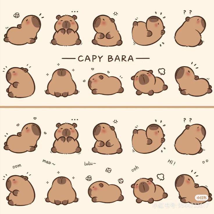 cute capybara wallpapers 0020