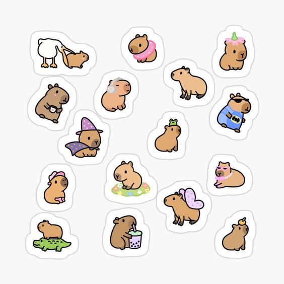 cute capybara wallpapers 0021