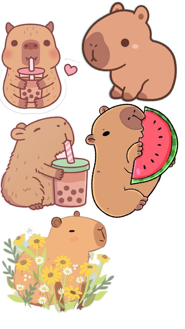 cute capybara wallpapers 0048