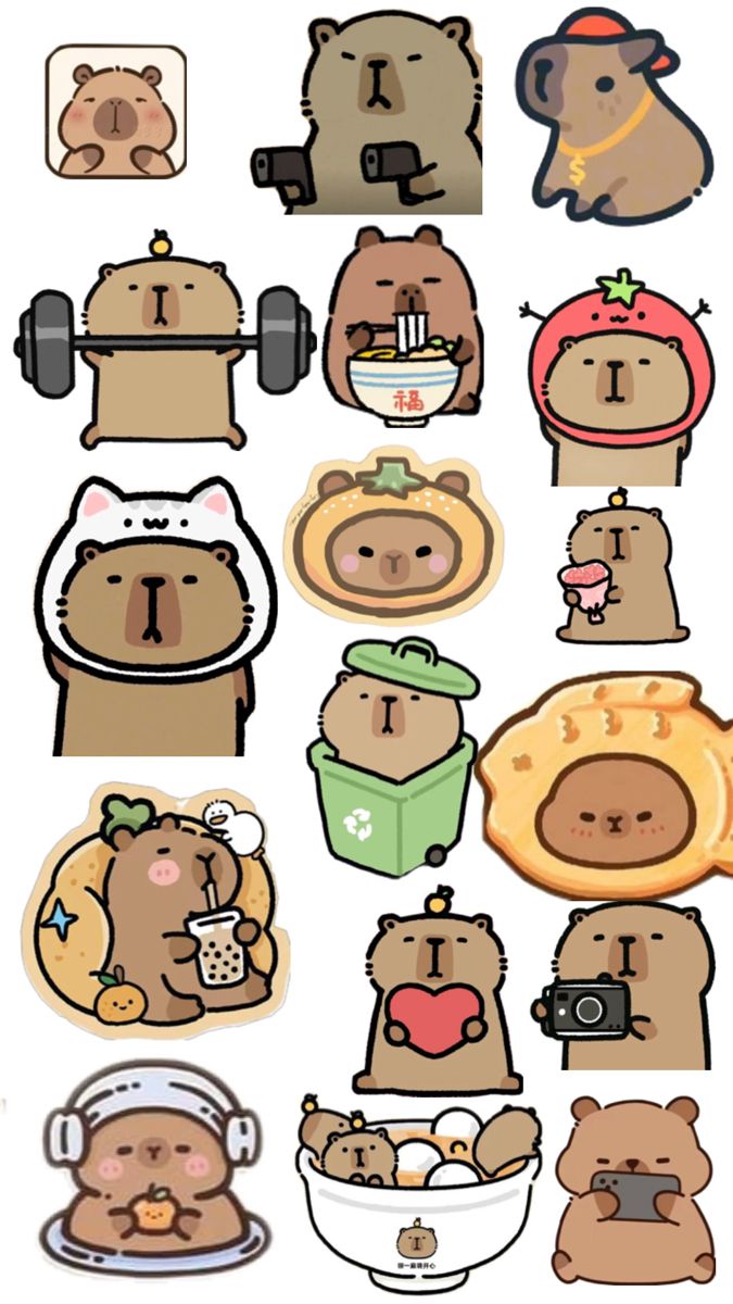 cute capybara wallpapers 0053