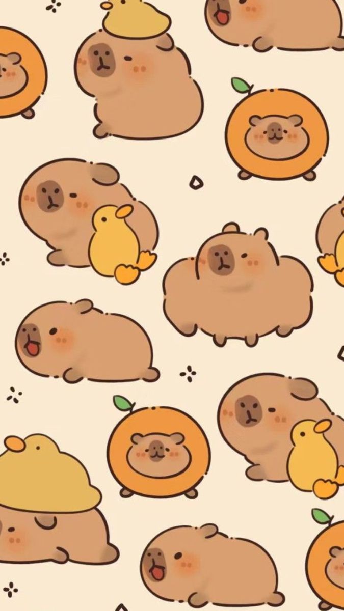 cute capybara wallpapers 0057