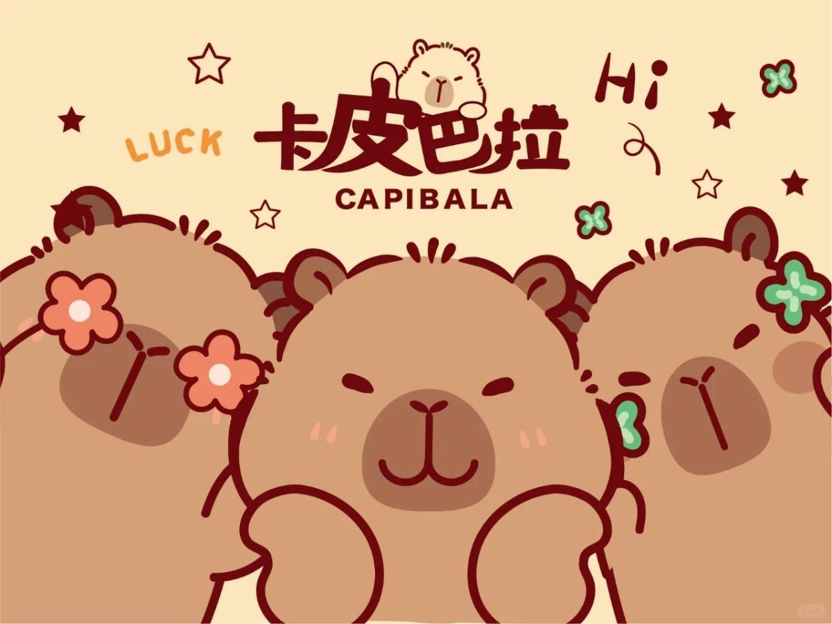 cute capybara wallpapers 0093