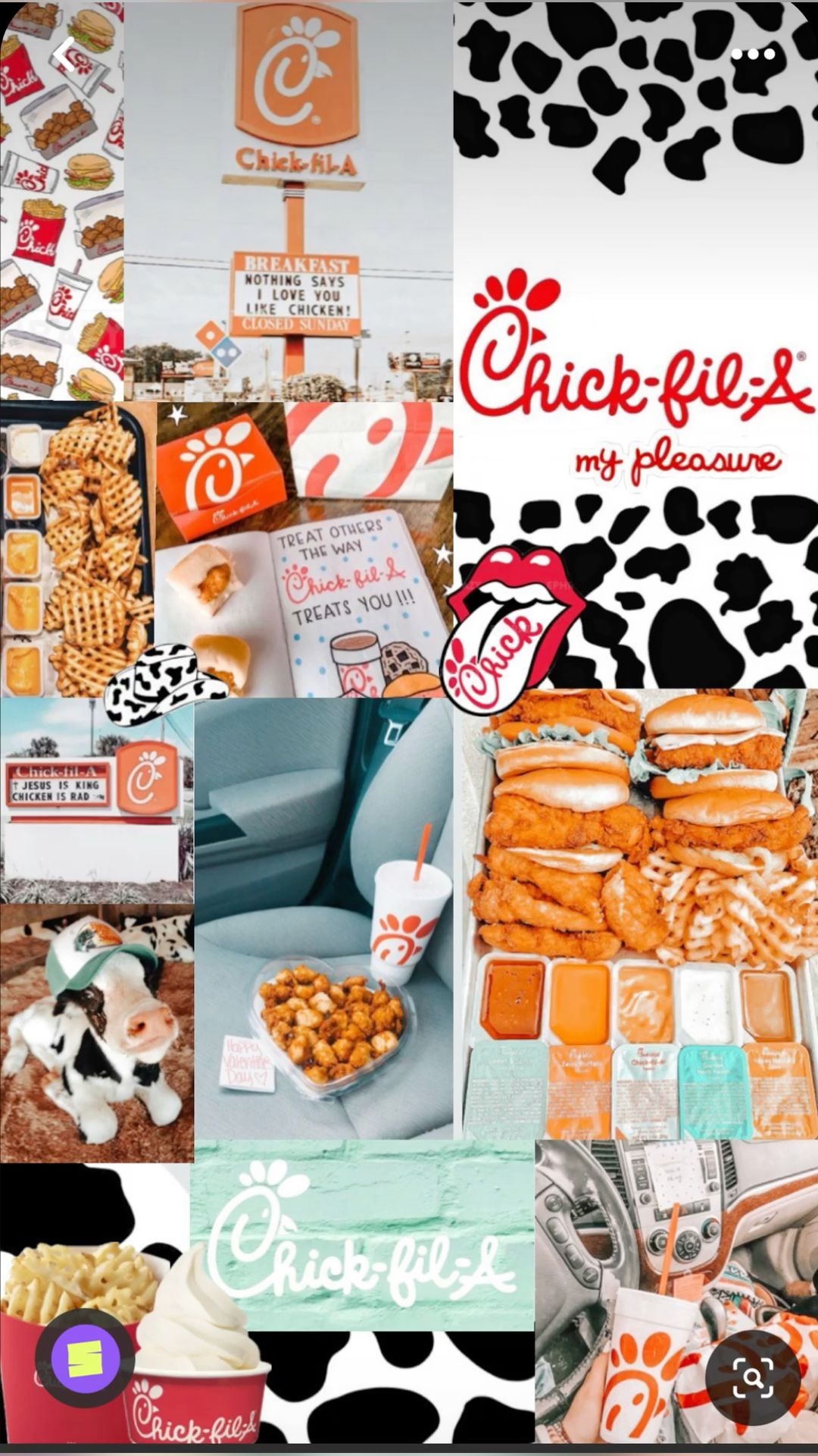 cute Chick Fil A wallpapers 0039