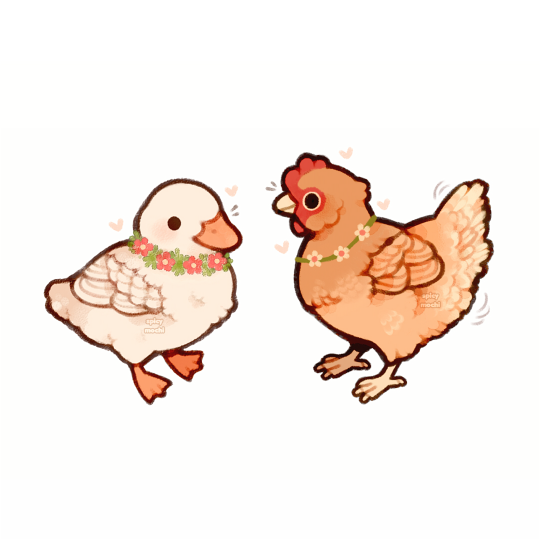 cute chicken wallpapers 0026