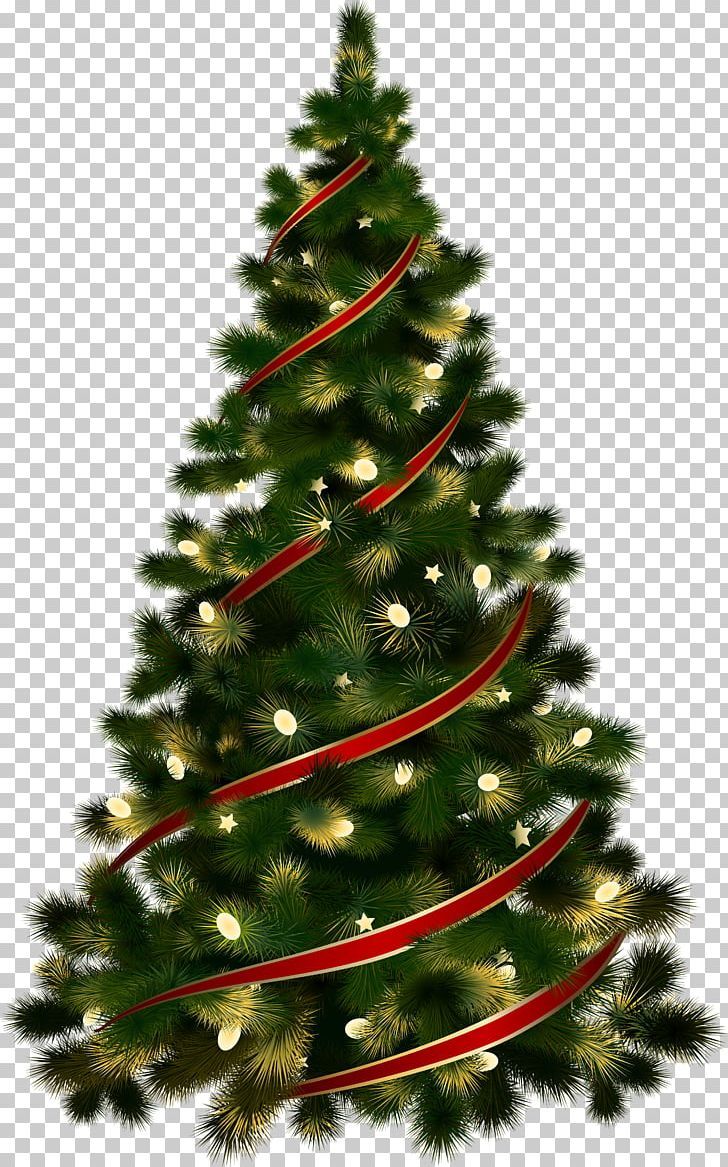 cute Christmas Tree wallpapers 0015