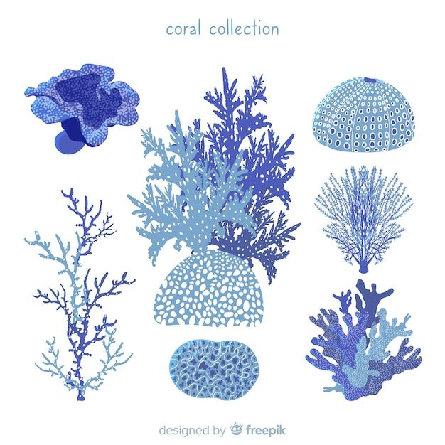 cute coral wallpapers 0063