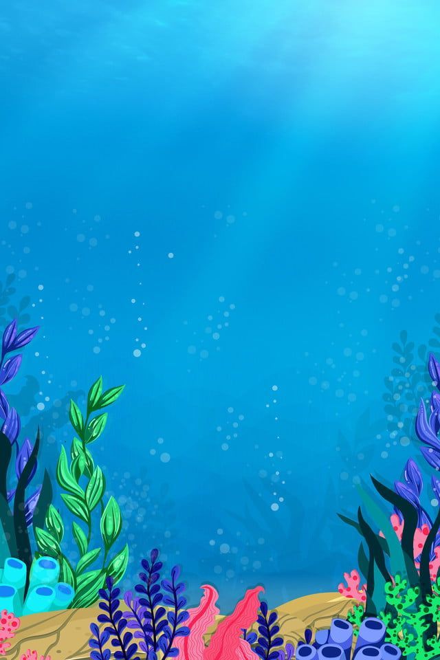 cute coral wallpapers 0064