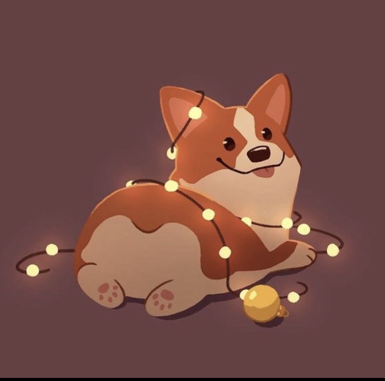 cute Corgi wallpapers 0014