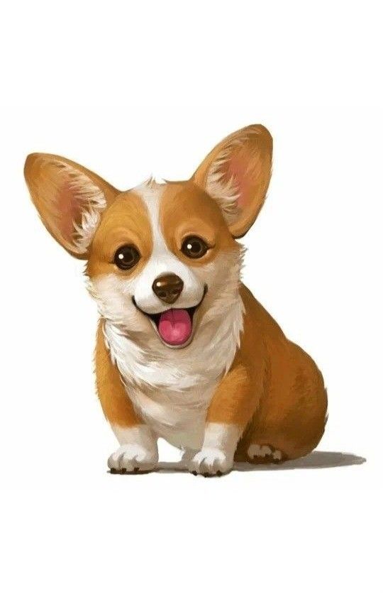 cute Corgi wallpapers 0015