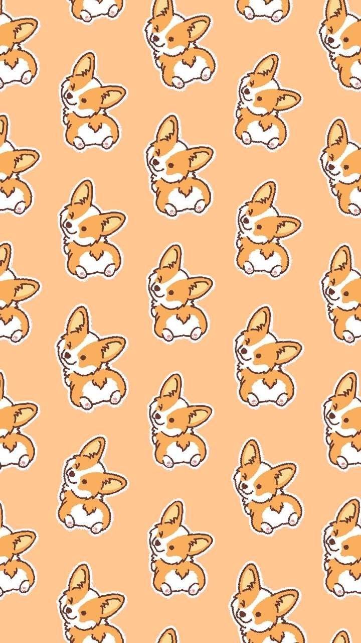 cute Corgi wallpapers 0018