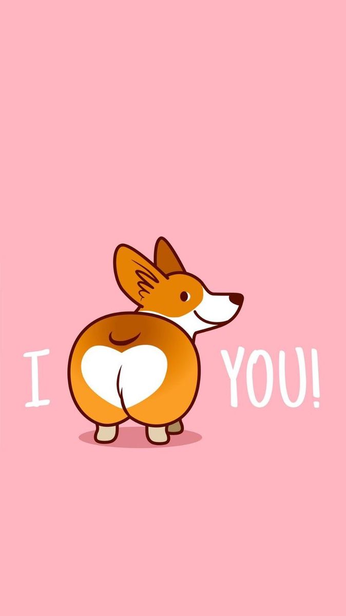 cute Corgi wallpapers 0023