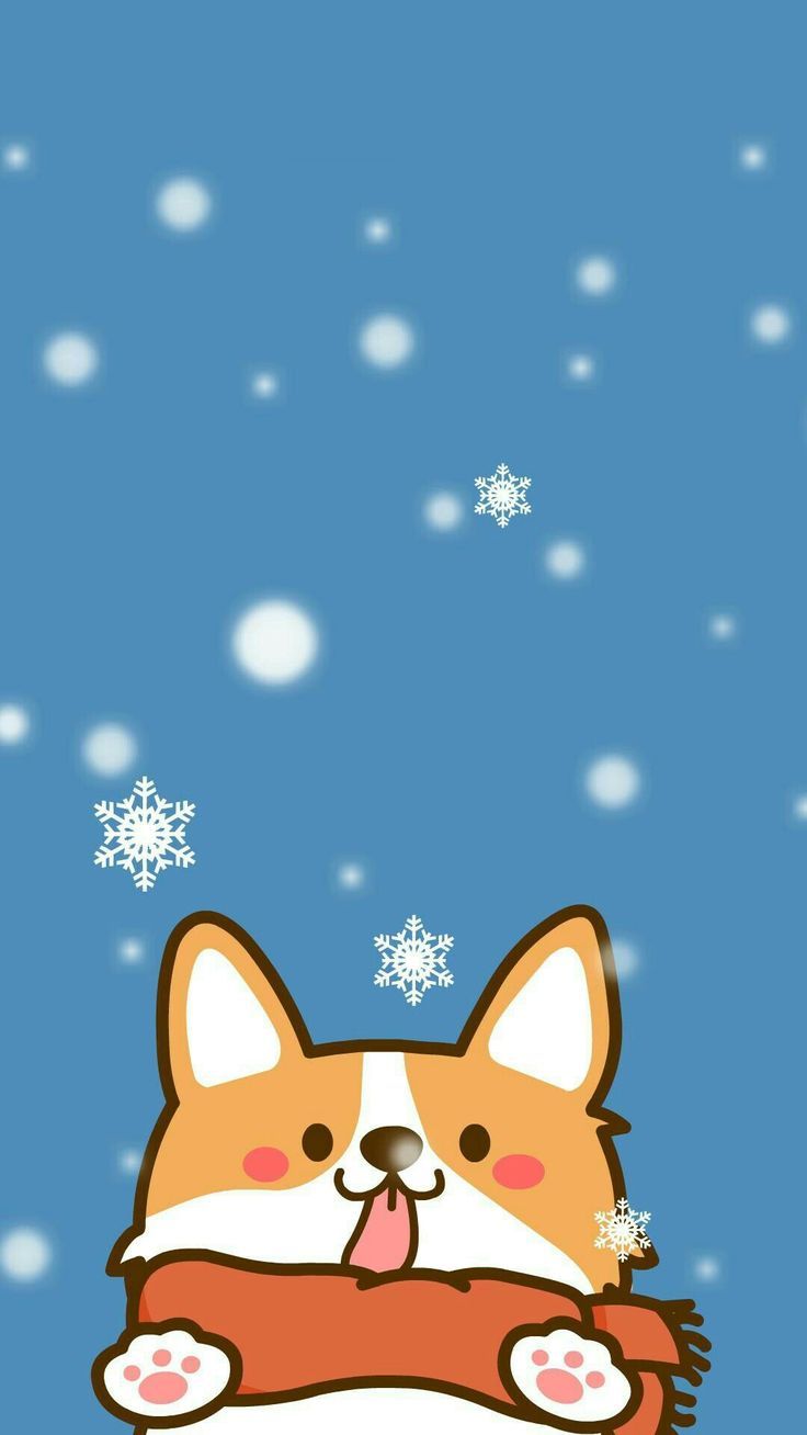 cute Corgi wallpapers 0035