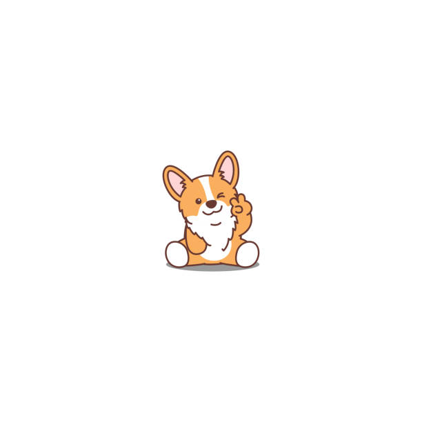 cute Corgi wallpapers 0053