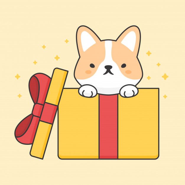 cute Corgi wallpapers 0054