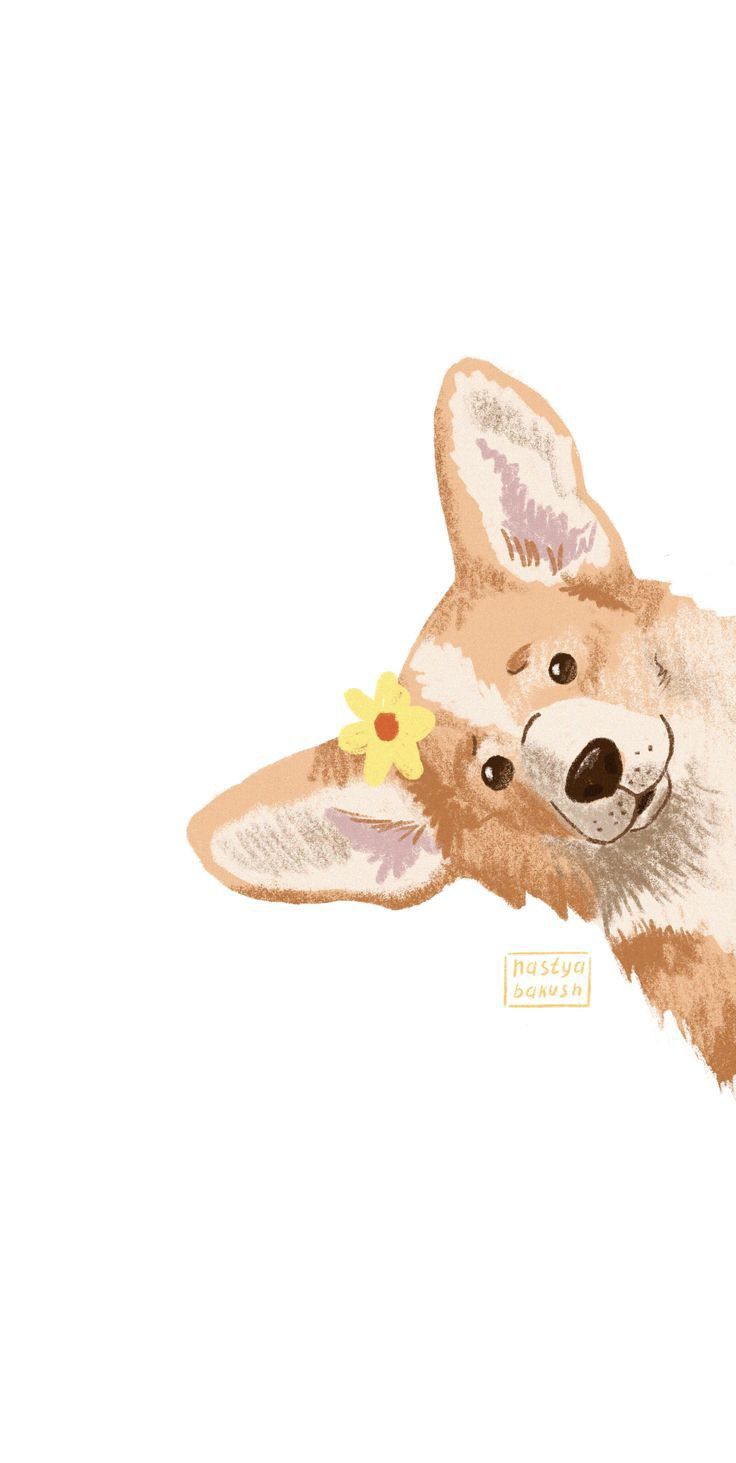 cute Corgi wallpapers 0055