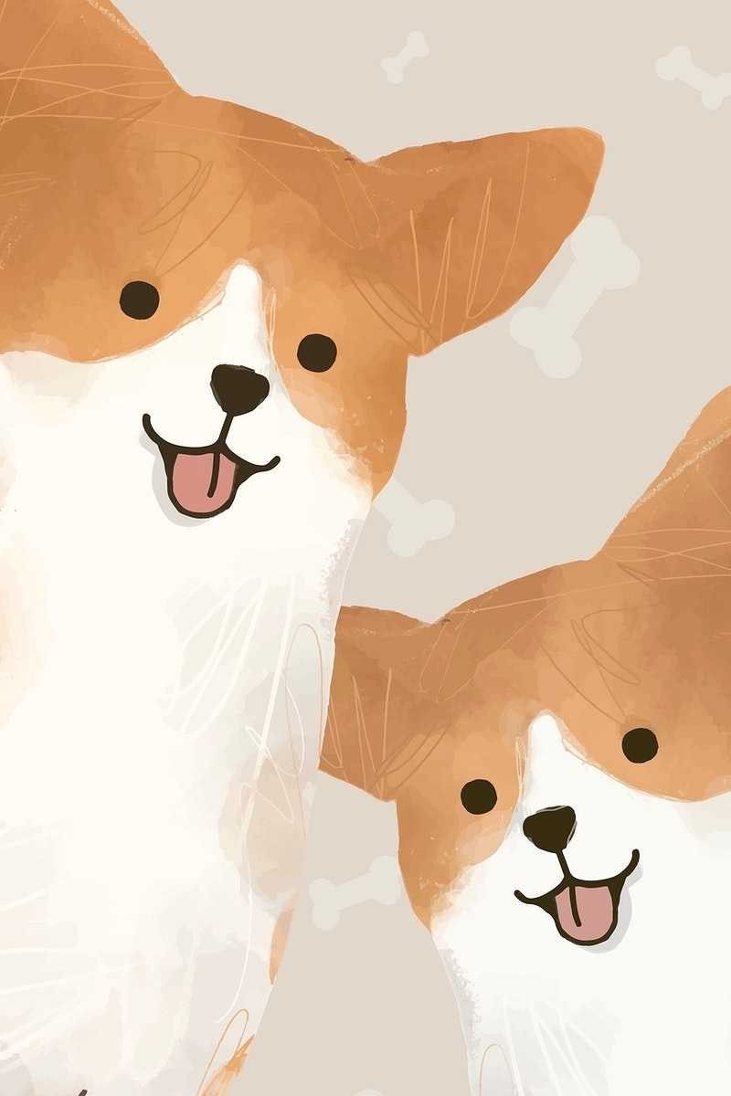 cute Corgi wallpapers 0058