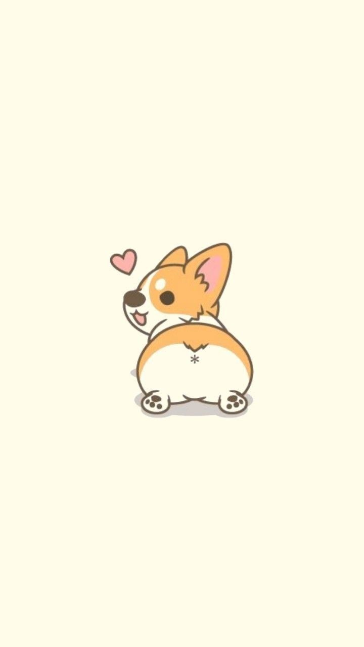 cute Corgi wallpapers 0060