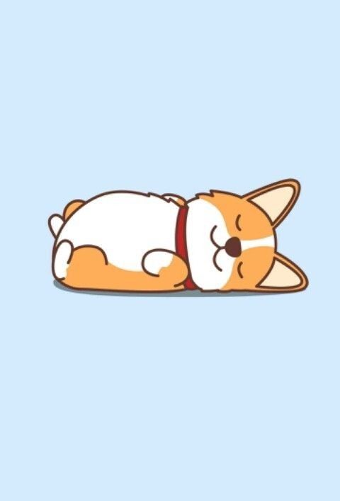 cute Corgi wallpapers 0069