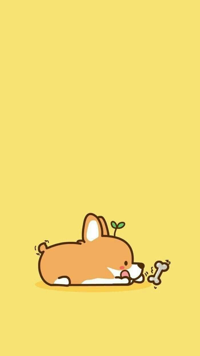 cute Corgi wallpapers 0071