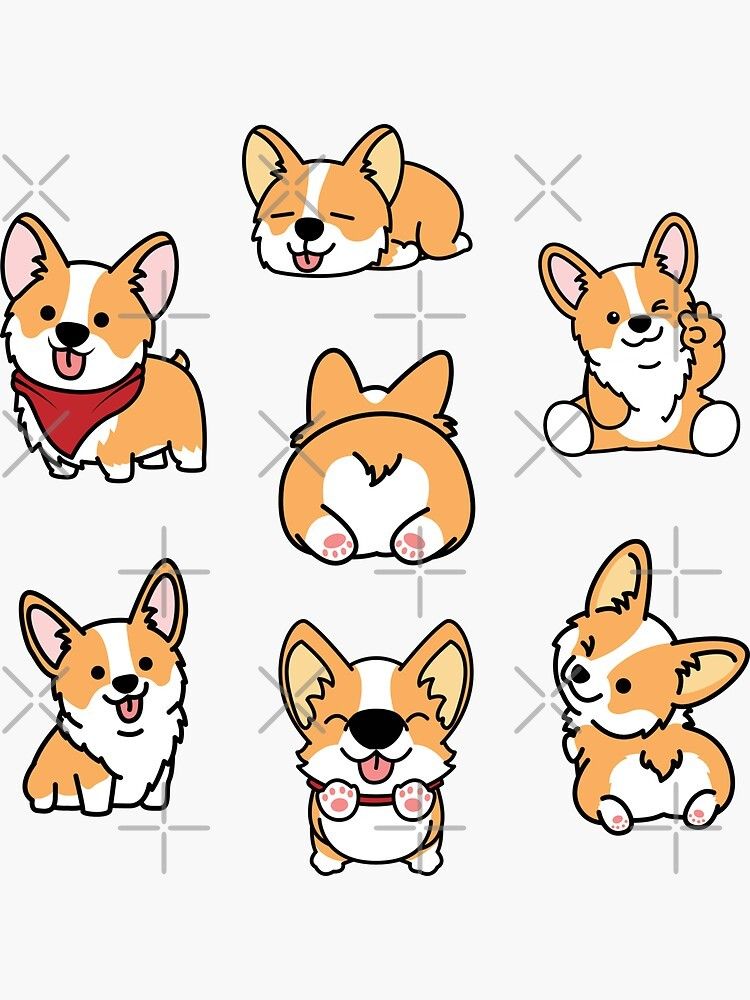 cute Corgi wallpapers 0077