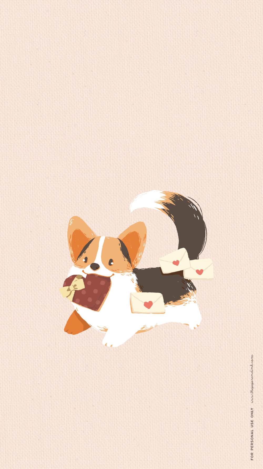 cute Corgi wallpapers 0081