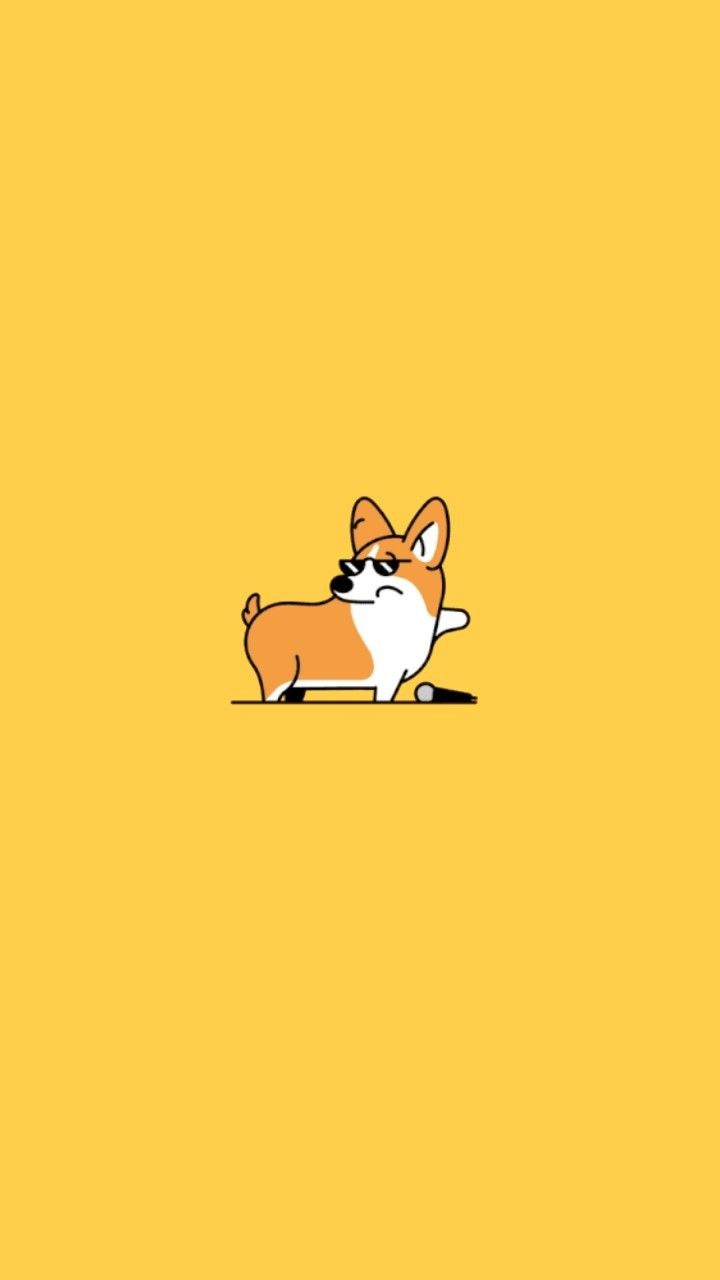 cute Corgi wallpapers 0084