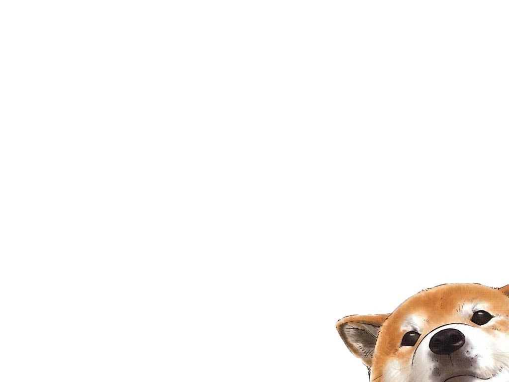 cute Corgi wallpapers 0091