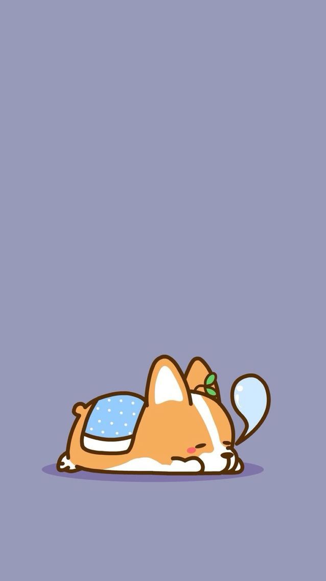 cute Corgi wallpapers 0094