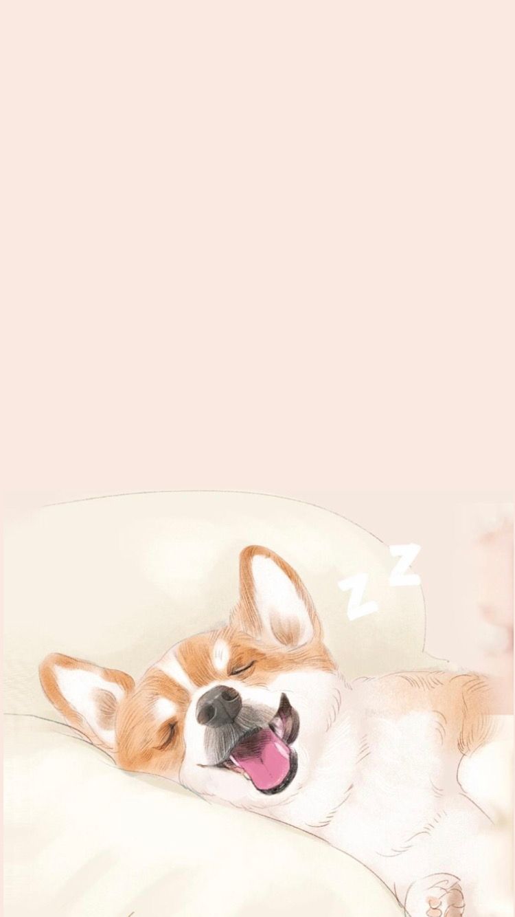 cute Corgi wallpapers 0095