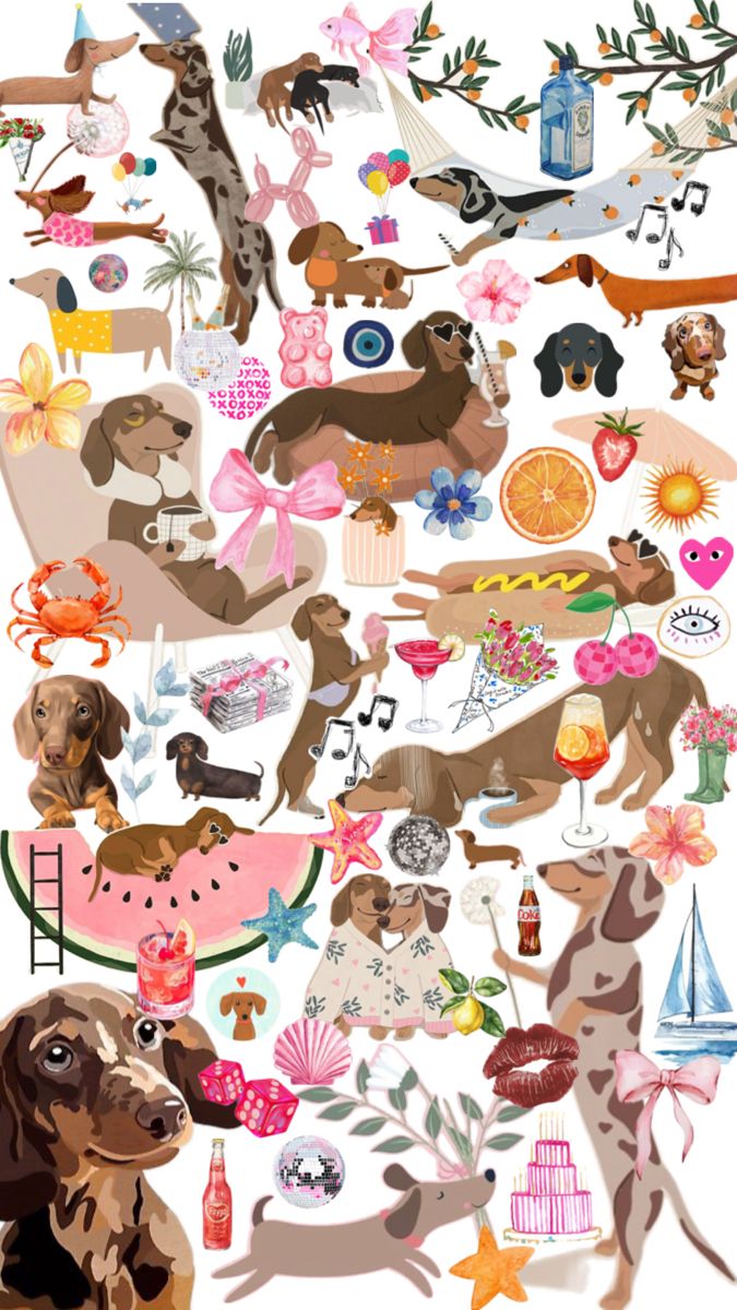 cute dachshund wallpapers 0014