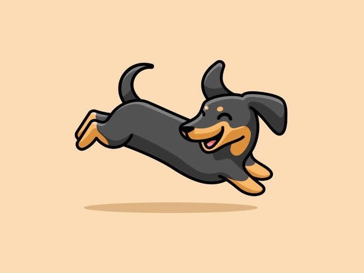 cute dachshund wallpapers 0017