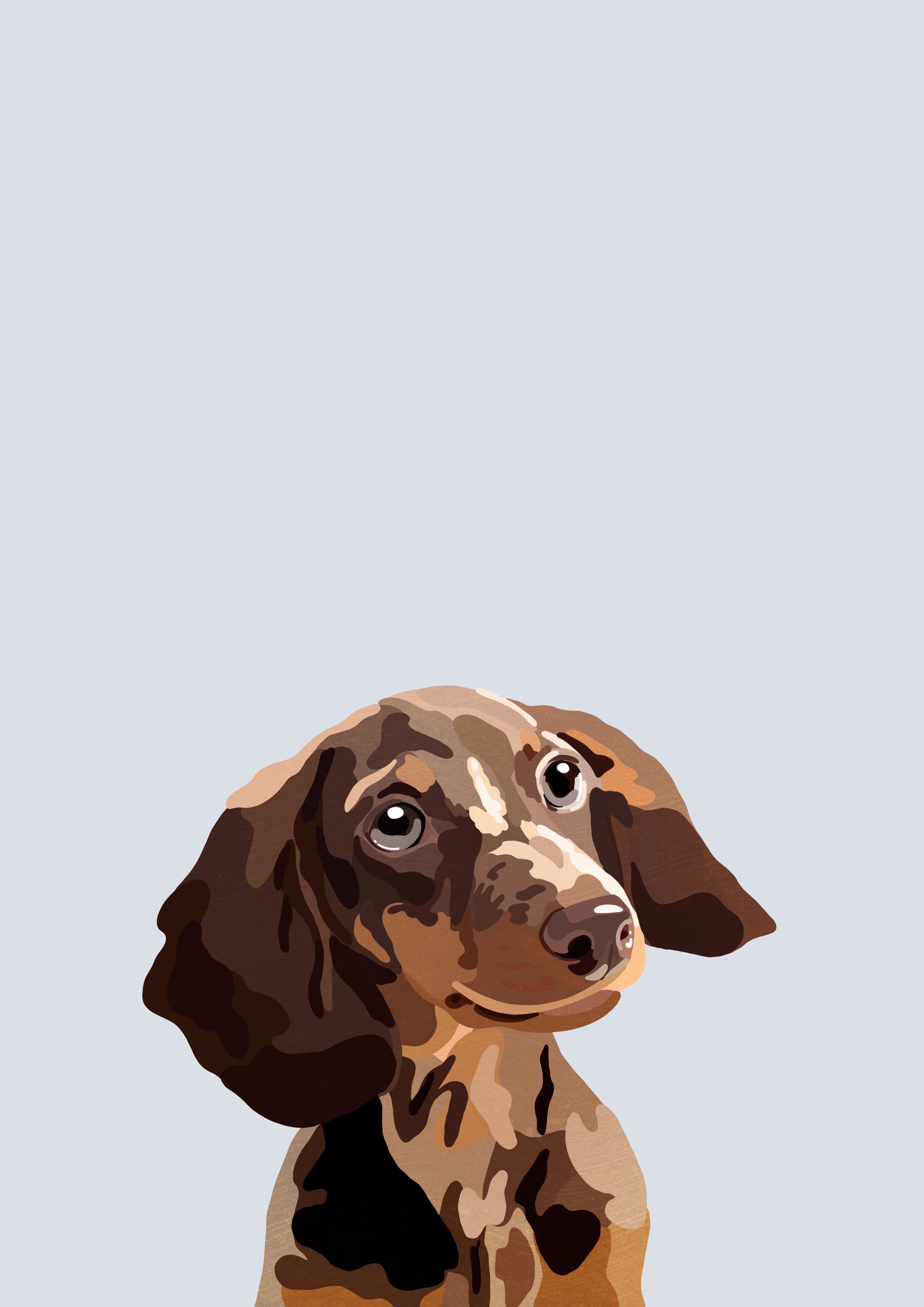 cute dachshund wallpapers 0021