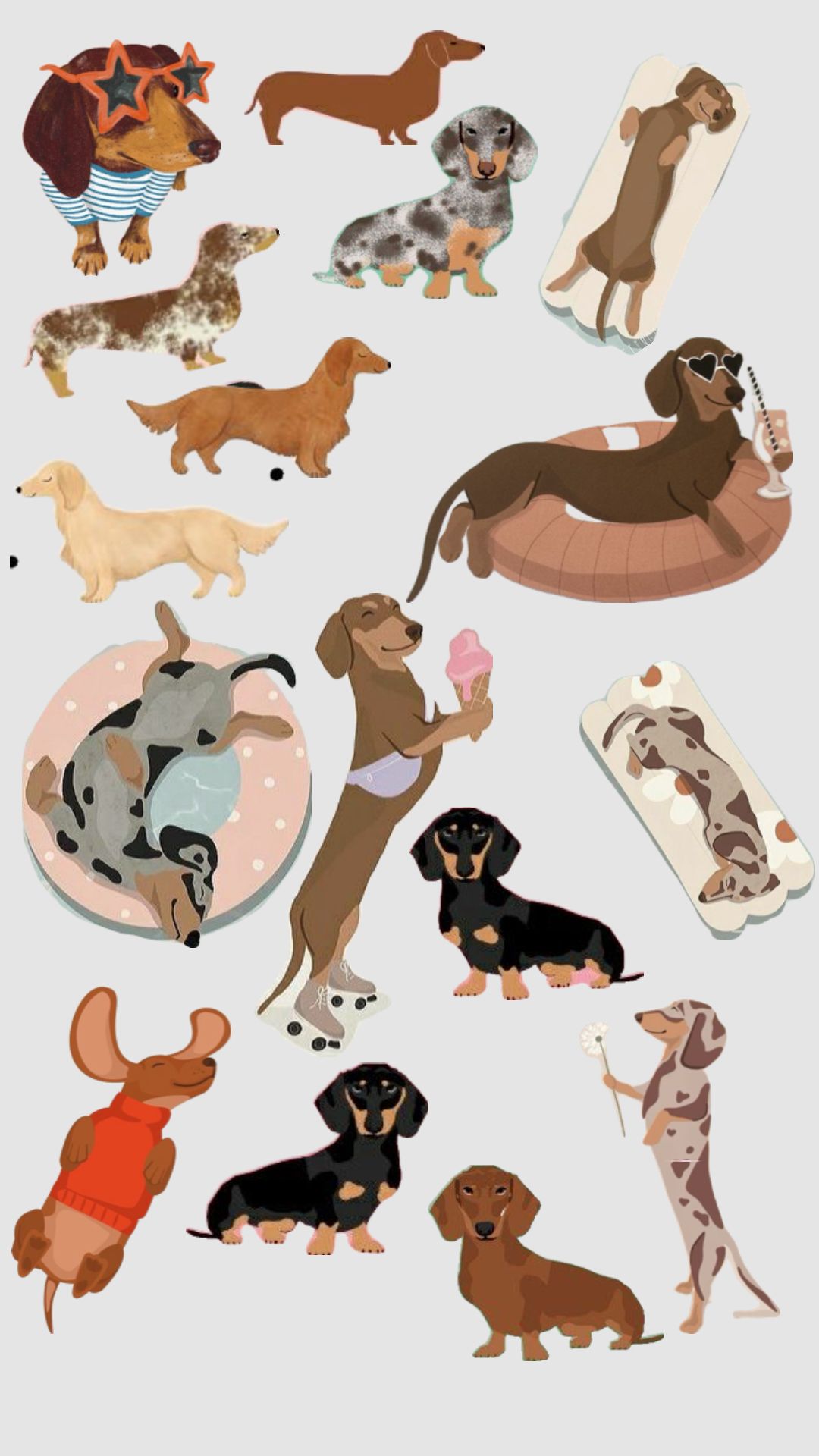 cute dachshund wallpapers 0022