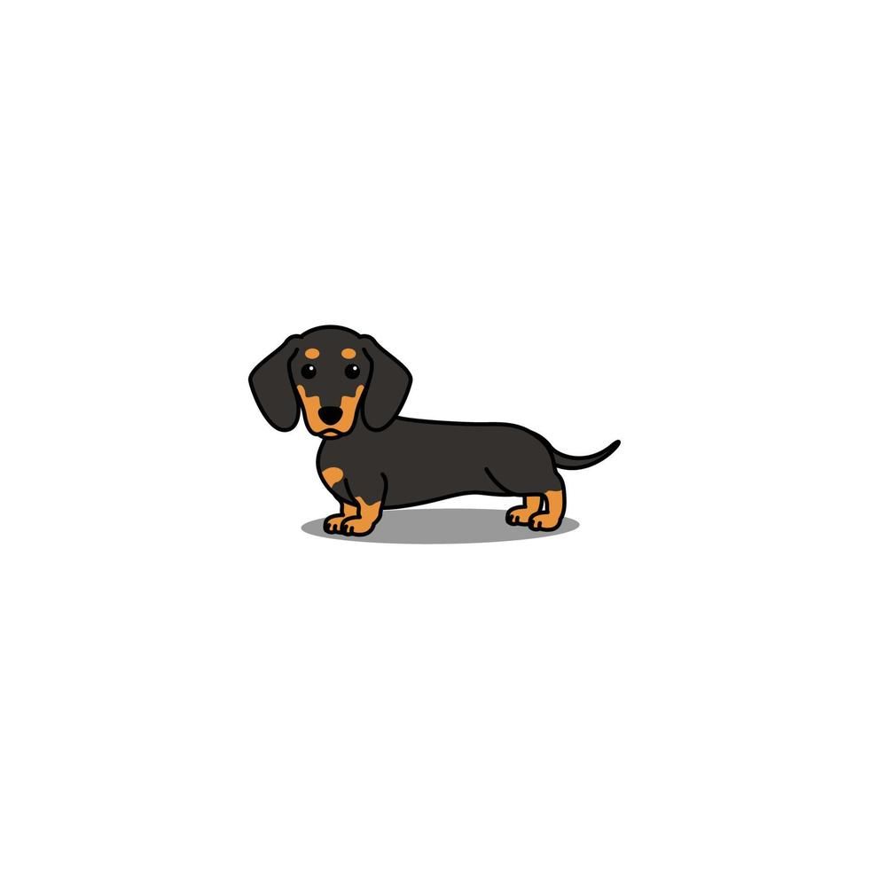 cute dachshund wallpapers 0029