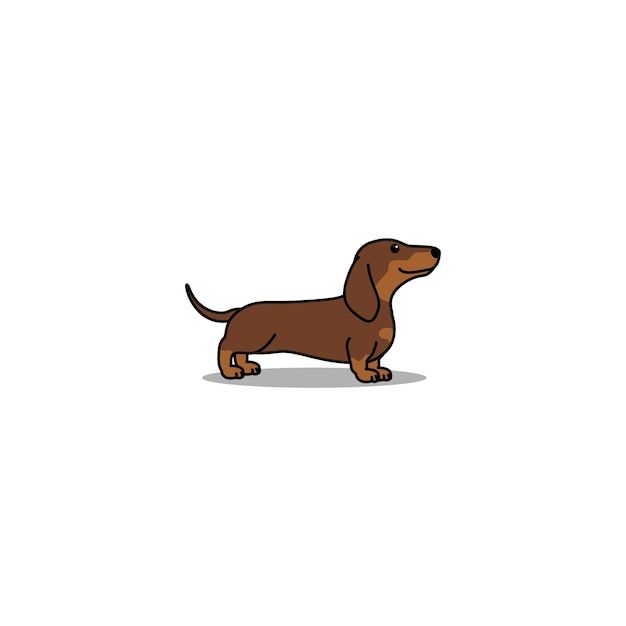 cute dachshund wallpapers 0030