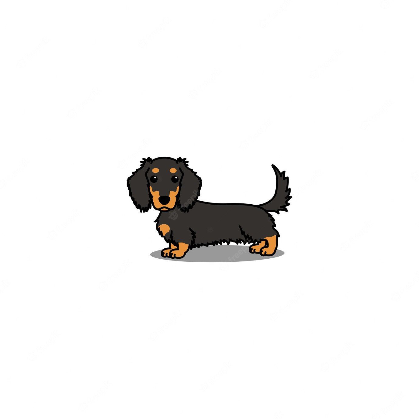 cute dachshund wallpapers 0044