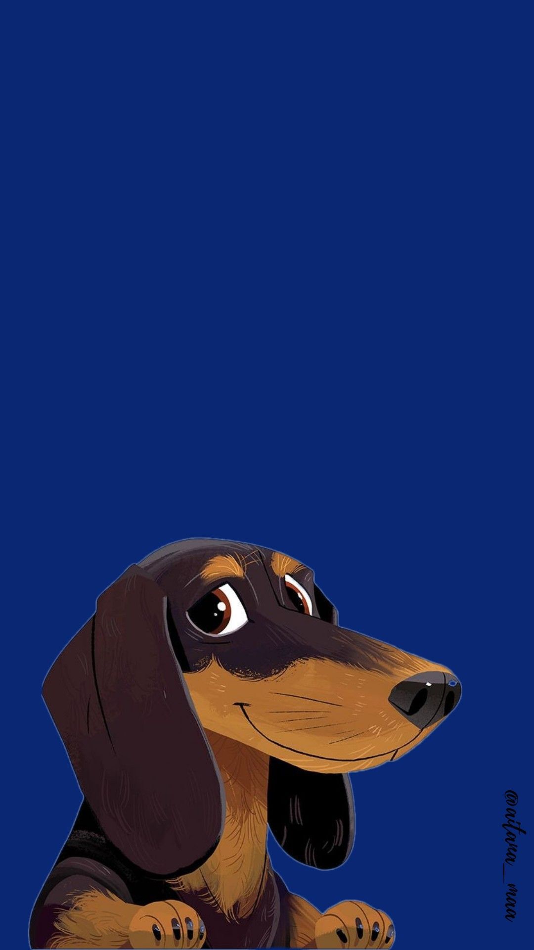 cute dachshund wallpapers 0048