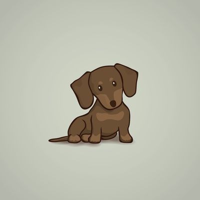 cute dachshund wallpapers 0053