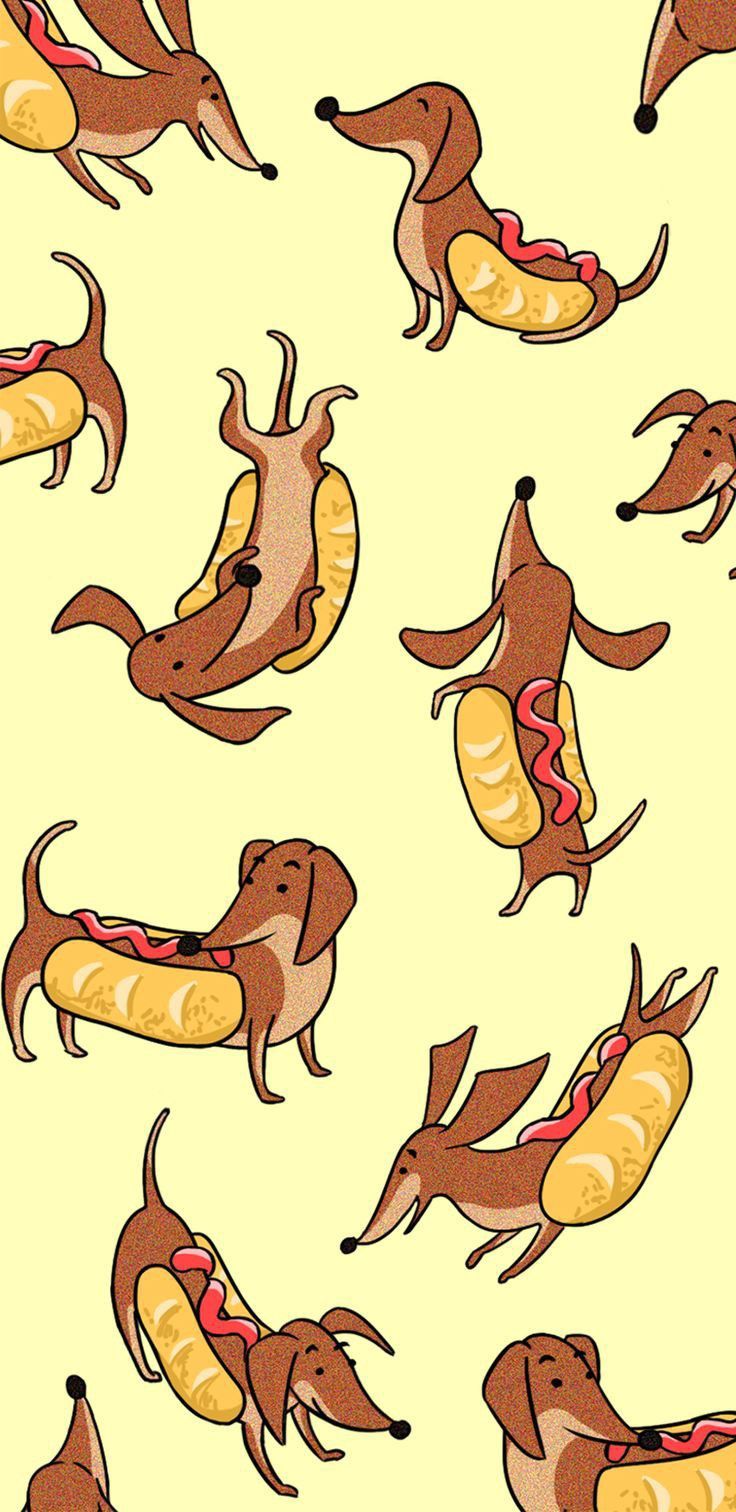 cute dachshund wallpapers 0059