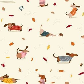 cute dachshund wallpapers 0065