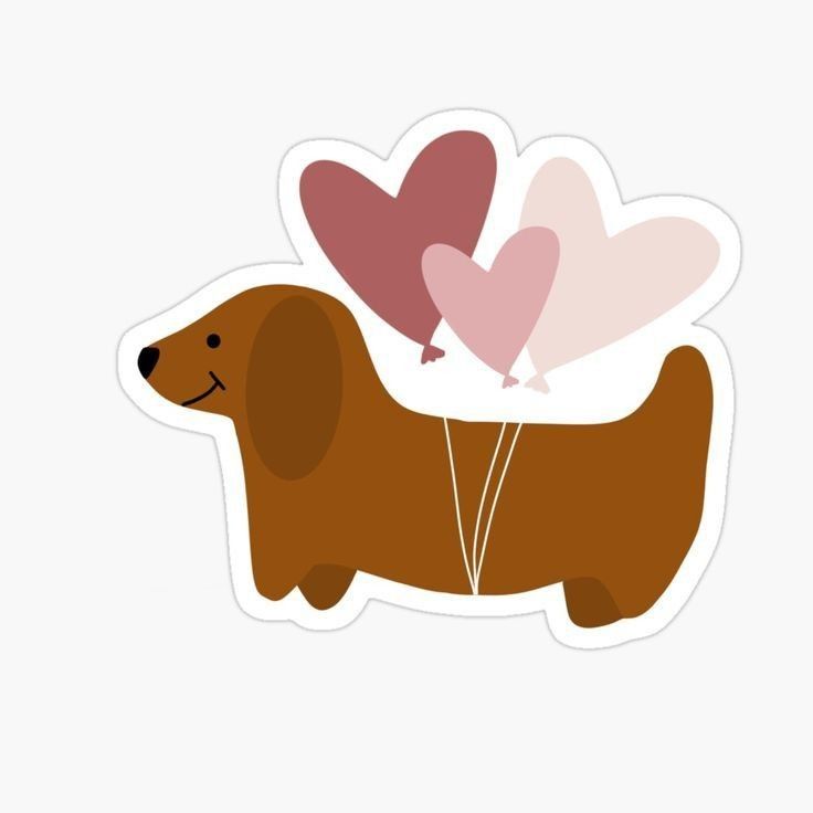 cute dachshund wallpapers 0067